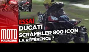 Ducati Scrambler 800 Icon 2019 - Toujours la référence