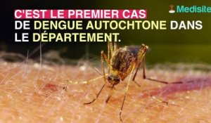 Moustique tigre : un premier cas autochtone de dengue détecté dans l’hérault