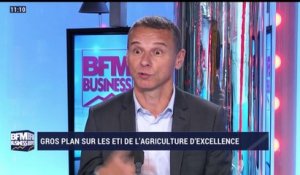 Gros plan sur les ETI de l'agriculture d'excellence - 20/10
