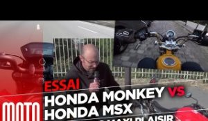 Honda Monkey VS Honda MSX - mini motos, maxi plaisir