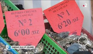 Bretagne : inquiétude pour la production d'huîtres
