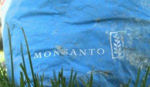 Glyphosate : amende moins salée pour Monsanto