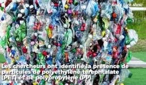 Des micro-plastiques retrouvés dans les excréments humains