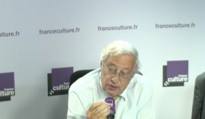 Bertrand Badie : "Peut-on traiter les formes nouvelles de conflictualités avec les instruments classiques de puissance"