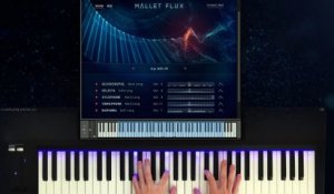 Get to know MALLET FLUX _ Native Instruments (1080p)
