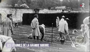 Jardin – Les légumes de la Grande Guerre