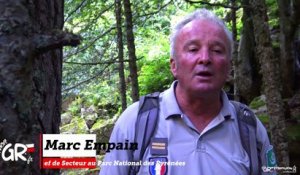 Le GR® 10, dans les Hautes-Pyrénées, en compétition pour le GR® préféré des français