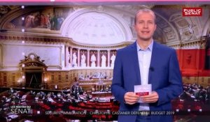 Sécurité, immigration : Christophe Castaner défend le budget 2019 - Les matins du Sénat (14/11/2018)