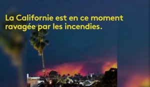 "Allons-nous-en d'ici !" : en Californie, les habitants filment leur fuite au cœur des incendies