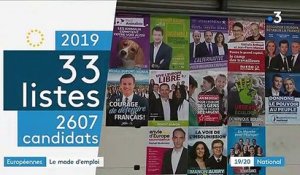 Européennes 2019 : les chiffres et le mode d'emploi