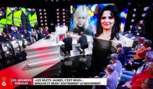 Le monde de Macron: Binoche et Bérat soutiennent le mouvement "Les Gilets jaunes, c'est nous" - 06/05
