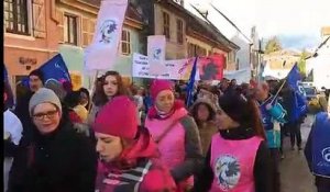 Un millier de manifestants en soutien à la maternité de Thann