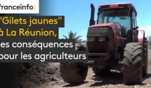 "Gilets jaunes" à La Réunion, les conséquences pour les agriculteurs