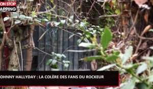 Héritage de Johnny Hallyday : La colère des fans du rockeur (vidéo)