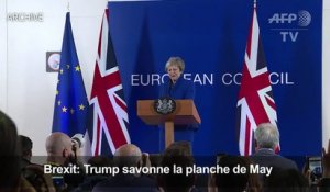 Brexit: Trump craint que l'accord nuise au commerce avec Londres