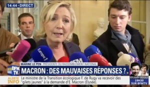 Marine Le Pen fustige "le gang des moufles", ces députés LaRem qui ne font qu'applaudir à l'Assemblée, selon elle
