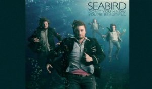 Seabird - Don't You Know You're Beautiful