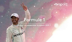 Formule 1 : Quels changements pour la saison 2019 ?