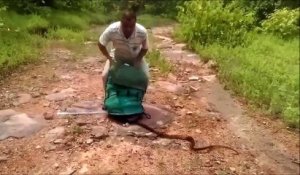 Il libère des centaines de serpents et c'est un peu flippant