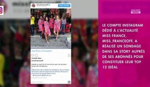 Miss France 2019 : les internautes ont fait leur choix