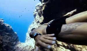 Plongeon dans un canyon sous-marin : il frôle les parois !