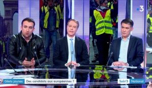 Des "gilets jaunes" et Francis Lalanne veulent participer aux élections européennes