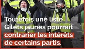 Quand les extrêmes se disputent les Gilets jaunes en vue des européennes