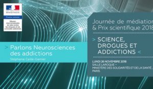 3Journée de médiation et Prix scientifique MILDECA « Science, Drogues et Addictions », 26 novembre 2018. « Parlons neuroscience des addictions » par Stéphanie Cailler-Garnier