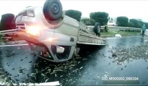 Un camion se renverse sur l'autoroute et la recouvre de millier de poissons