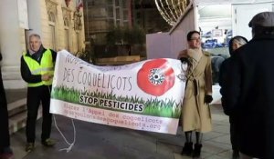 A Avignon, des militants du mouvement des Coquelicots réclament l’interdiction des pesticides