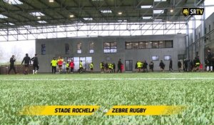L'avant-match : Stade Rochelais / Zebre