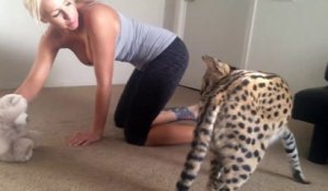 Elle joue avec son chat serval magnifique...