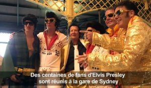 Elvis Express: les fans dans le train pour honorer le "King"