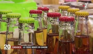 Tendance : le cidre monte en gamme