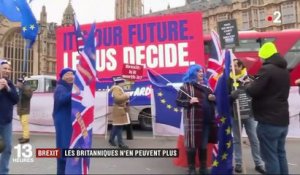 Brexit : les Britanniques veulent être fixés
