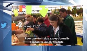 Emmanuel Macron : Julie Gayet l'interpelle sur le glyphosate