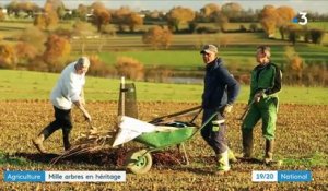 Mayenne : pourquoi cet agriculteur a choisi de replanter 1 000 arbres avant de partir en retraite