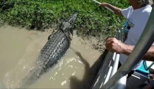 Ces touristes rencontrent un crocodile monstrueux au brésil