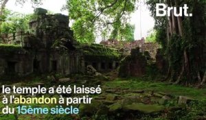 Au Cambodge, le temple Ta Prohm est le parfait mélange entre culture et nature