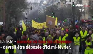 Européennes : une liste Gilets jaunes voit le jour