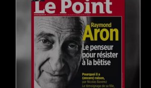 Le portrait de Raymond Aron