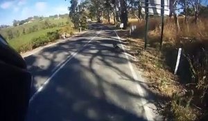 Ce motard sauve un Koala assis en plein milieu de la route !