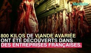 800 kg de viande avariée découverts en France