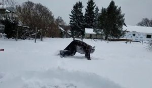 Faire son Yoga dans 40cm de neige ? Pas si simple !