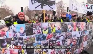 "Gilets jaunes" : une manifestation pour les blessés à Paris