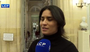 Loi "anti-casseurs" : la députée de la majorité Sonia Krimi s'abstiendra