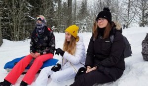 Massif vosgien: pour une cohabitation heureuse entre usagers et animaux