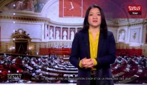 PJL PACTE - Les matins du Sénat (06/02/2019)