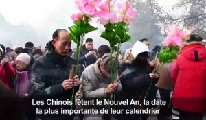 les communautés chinoises fêtent l'année du cochon
