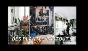 Pourquoi les plantes passionnent-elles les urbains?